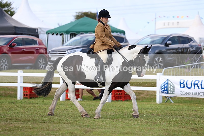 3E7A9644 - Class 5: Rising Star Lightweight/Heavyweight Cobs