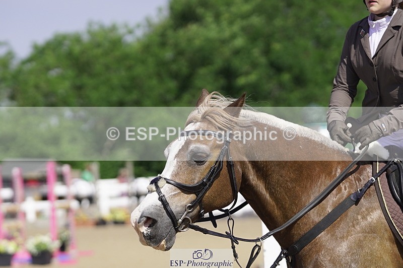 230625A-101600-03417 - Cls 2 Pony Discovery 2nd Round