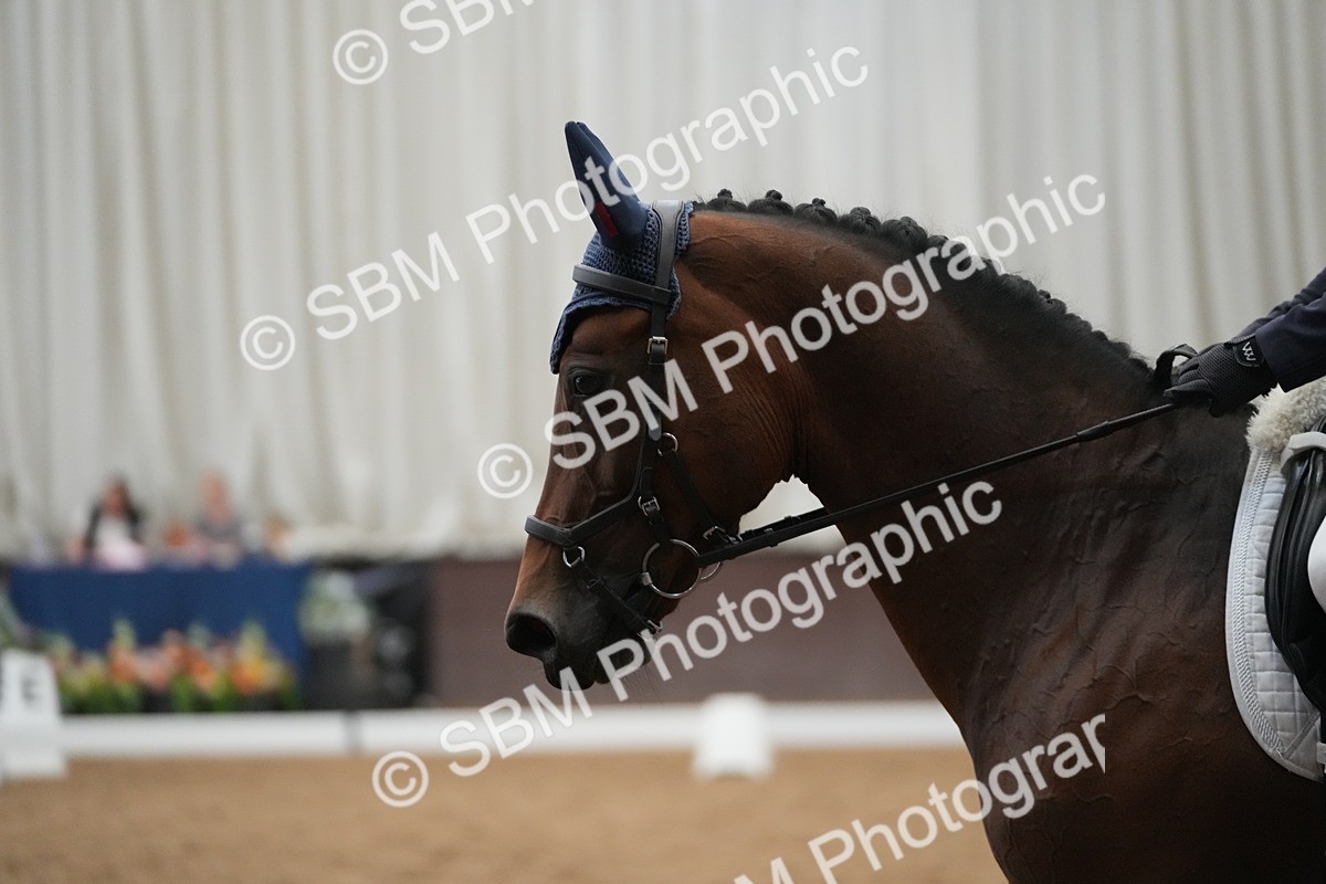 SBM_004636 - Class 11 - Elementary 2 Champs