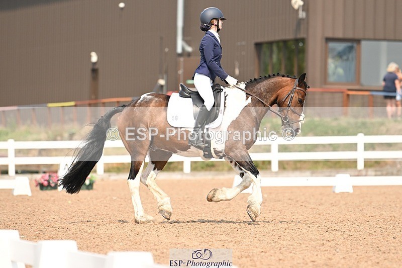 250816-140630-05011 - 050-Mollie.SheathTouch.Wood