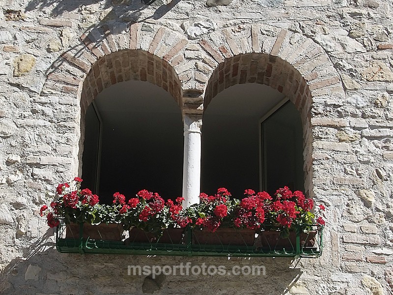 Geraniums in Sirmione - Travel, city/land scapes