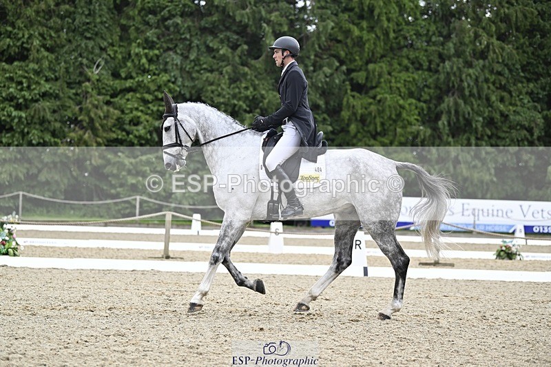 000101-215607-04497 - 404-DEERPAIRC_REVELRY-Max_Warburton