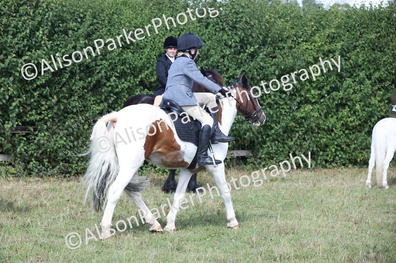 20250831-2468 - Class 16 - Family Pony