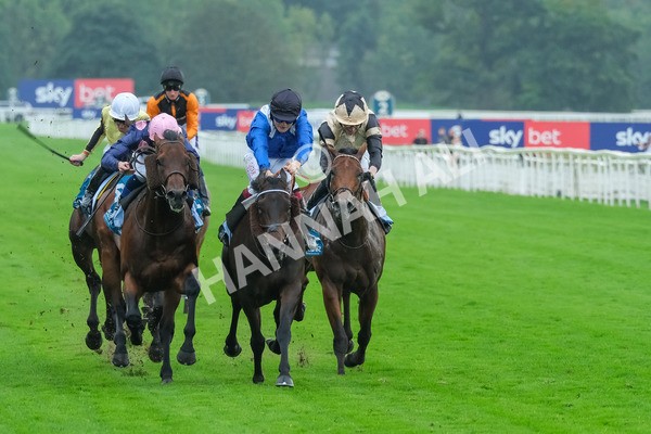 080925-Race 5-Elmonjed-9408 - Race 5 4.30pm Sky Bet Starman Garrowby Stakes