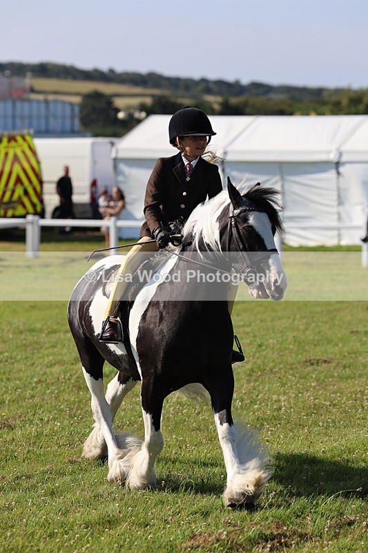 IMG_1514 - Class 30: Ridden Native/Trad Coloured Pony