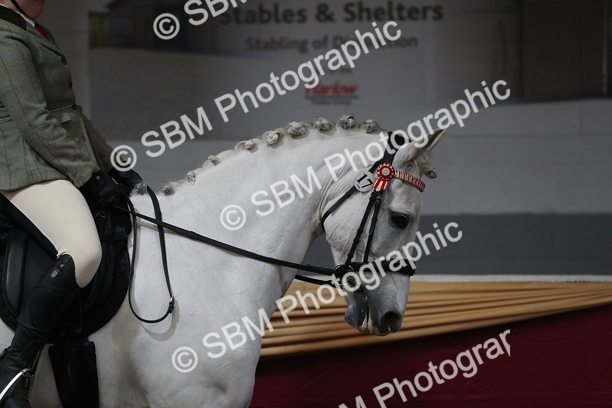SBM_10289 - Class 102 Equitation (best rider) Adult