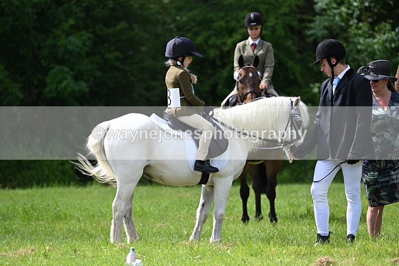 WJ7_1364 - Class 11 Condition & Turnout