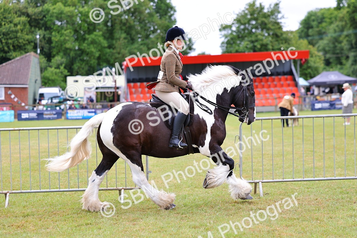 SBM_02623 - Class 9-11 Side Saddle including LIHS Rising Star Ladies Show Horse