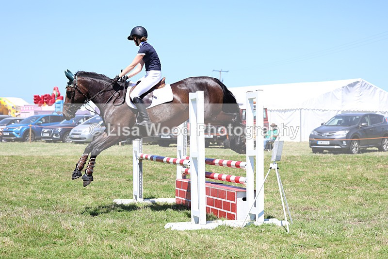 3E7A5535 - Class 9: Senior British Novice/90cm open