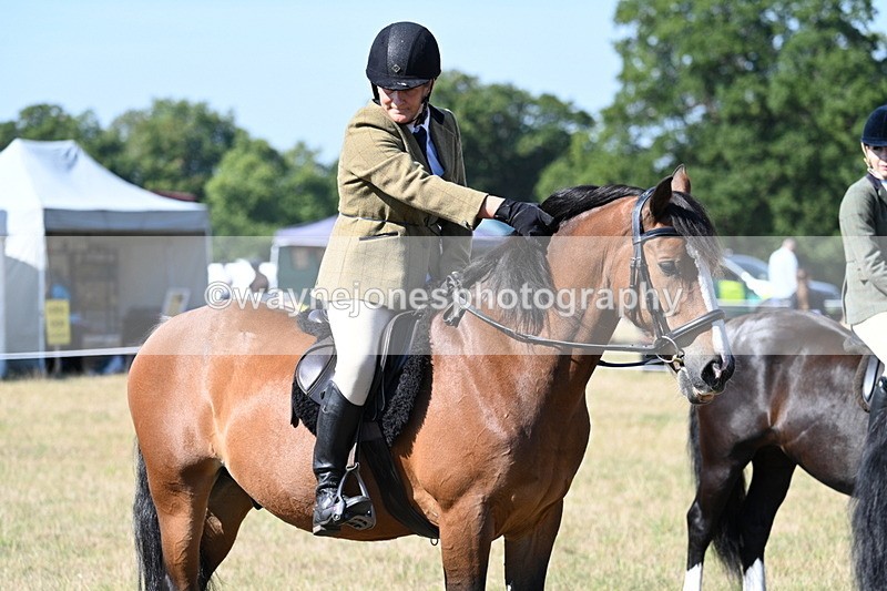 WJ7_3833 - Class 9 Mountain & Moorland Ridden