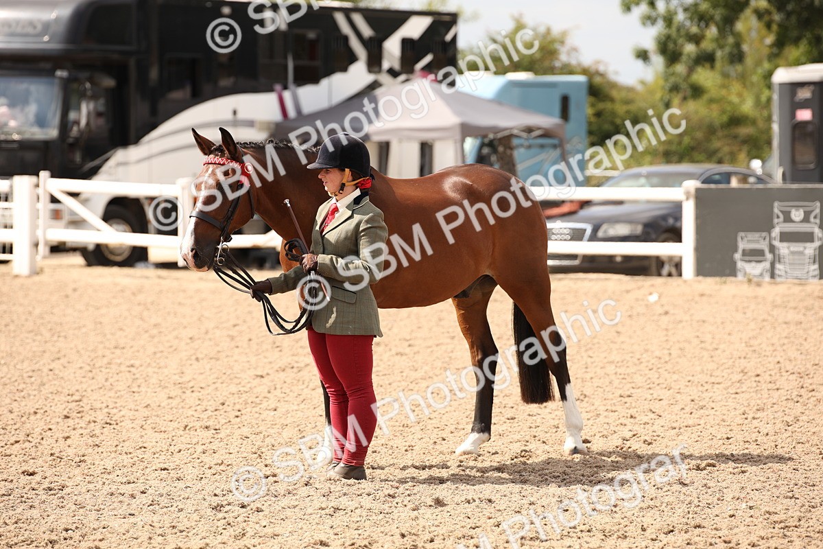 SBM_04631 - Class 20 IH Veteran