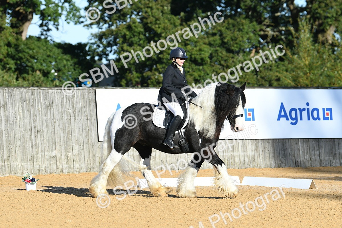 SBM_14460 - D4 - Small Tour Championship - Intro B