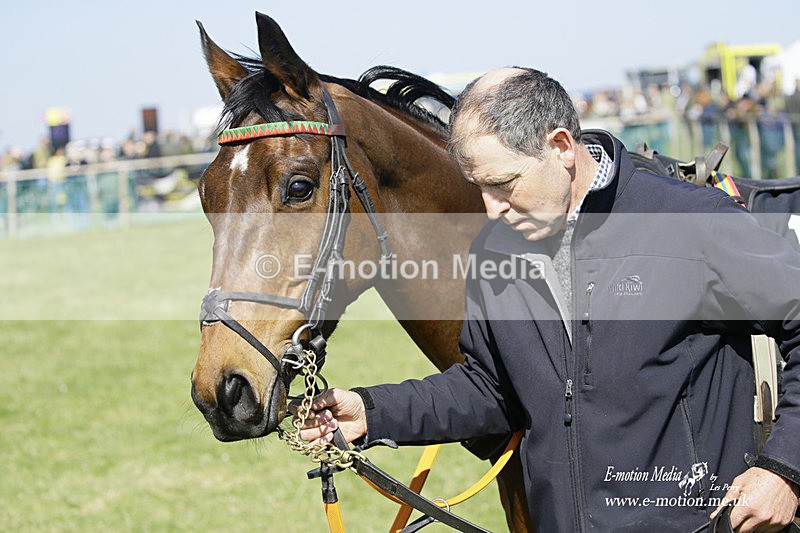 PtP 190322 259 - Wilton Hunt PtP Milborne St Andrew 19/03/22