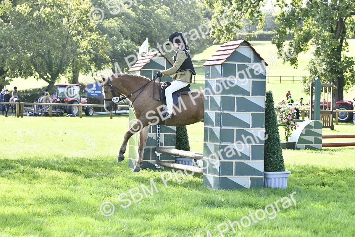 SBM_38223 - S31 - Novice & Newcomer Working Hunter Pony