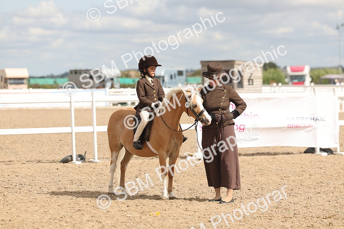 SBM_15775 - Class 309 - Lead Rein Pony