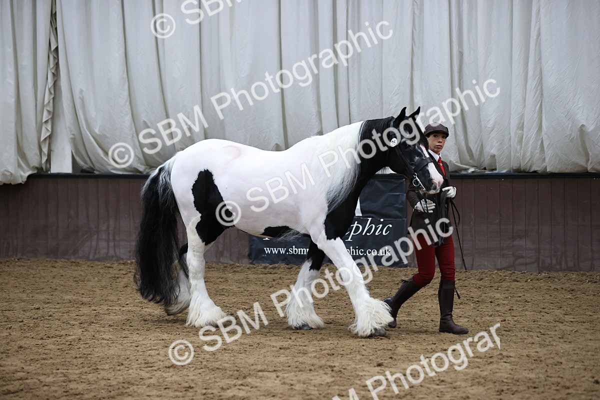 SBM_5612 - Class 40 - RESS In Hand Qualifier