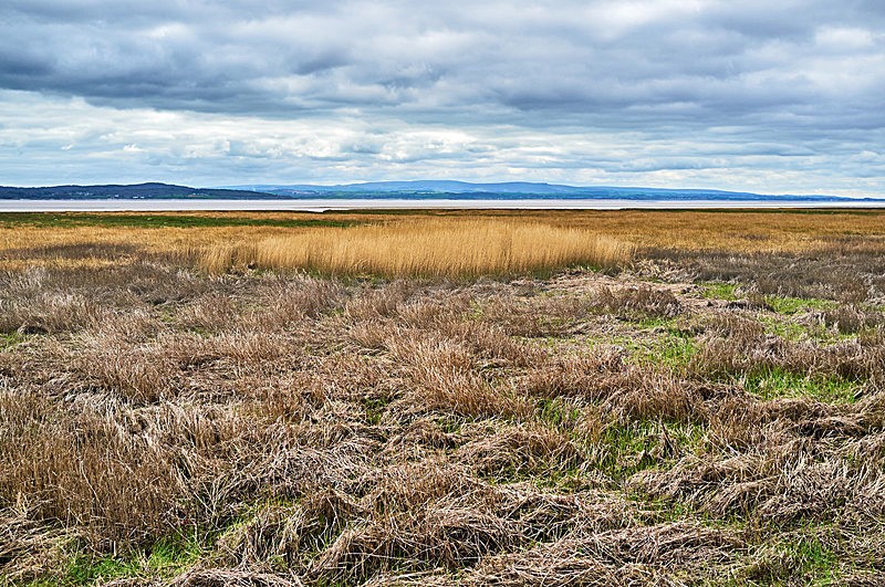 Grange-over-Sands 02 - Landscapes around Morecambe Bay