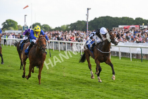 yr21052022r6-18 - Race 6: 4:42pm Yorkshire Regiment Stakes