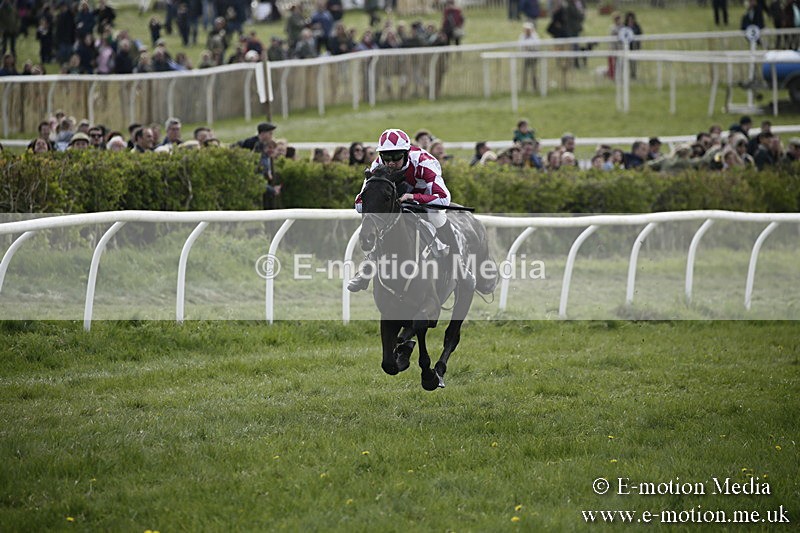 PtP 170417 346 - Old Berks Point-to-Point Lockinge 17/04/17