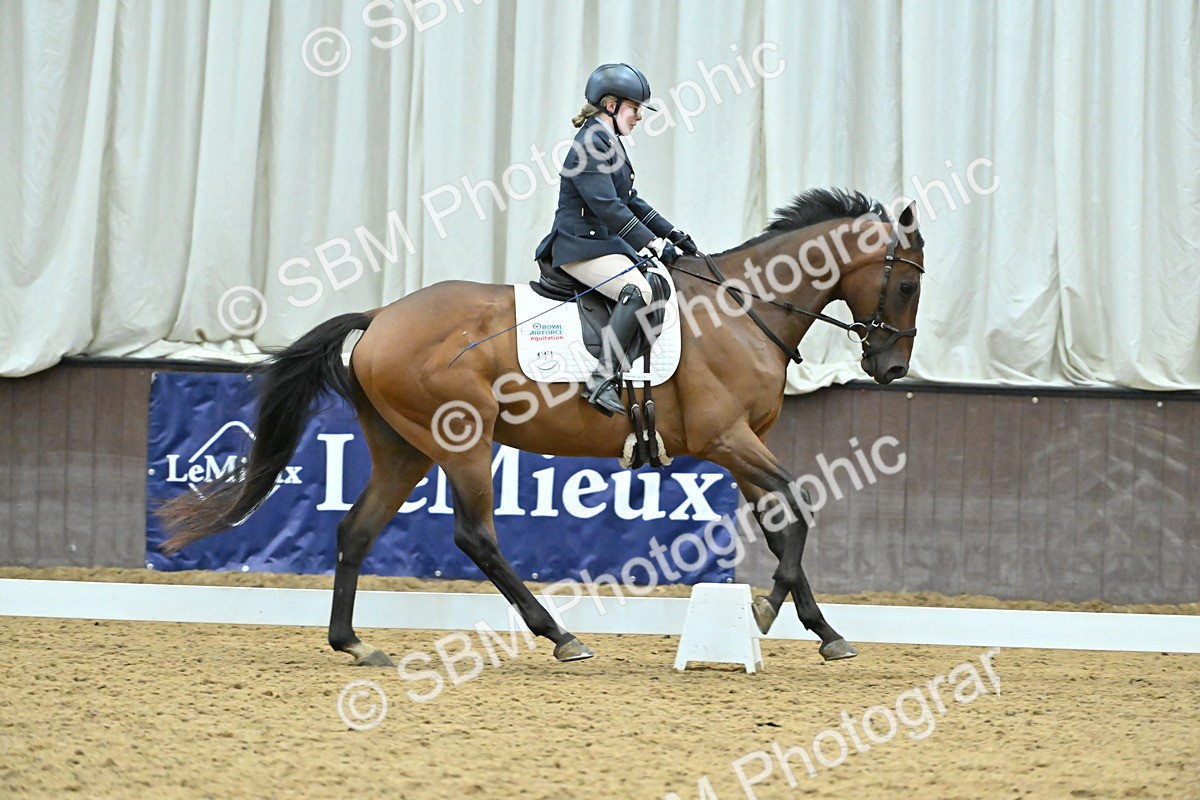 SBM_007530 - Class 81 - Novice 3