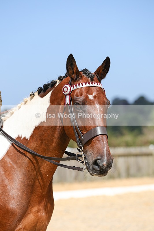 1X9A8501 - Ridden Championship