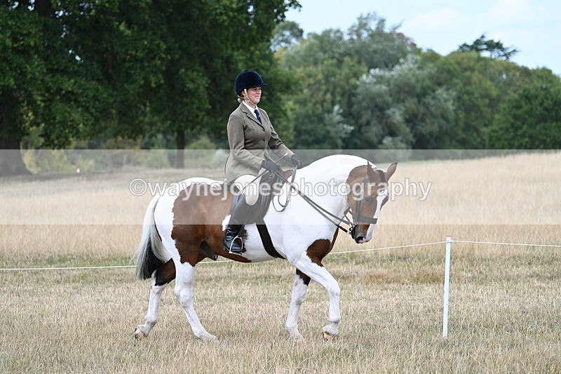 WJ7_4618 - Class 12 Ridden Cob