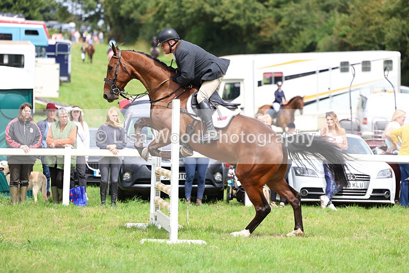 3E7A6883 - Class 5: Senior British Novice/90cm open