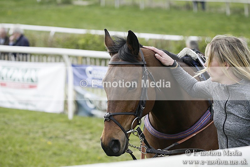 PtP 170417 398 - Old Berks Point-to-Point Lockinge 17/04/17