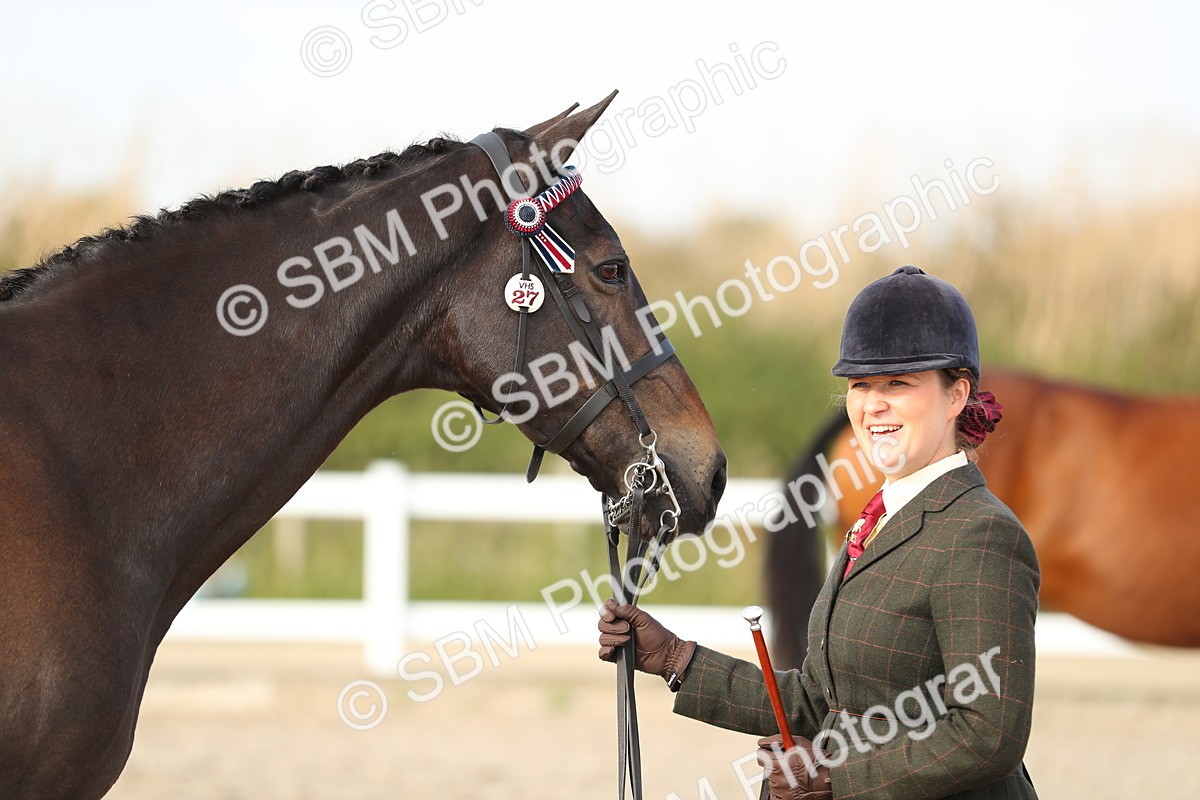 SBM_08645 - Class 28 - IH Veteran Horse