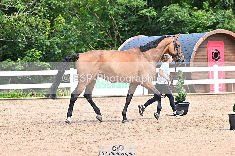 240718A-105247-01153 - Trot Up 12pm to 1pm