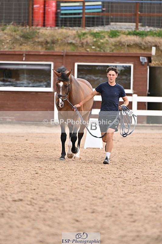 250716-145525-01506 - Trot Up 2.30 to 3.30