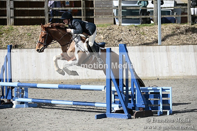BVRC SJ 170319 301 - Bourne Valley Riding Club Showjumping 17/03/19