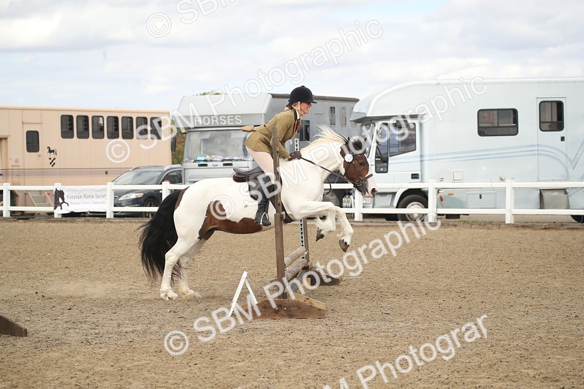 SBM_15223 - Class 506a - Working Veteran - 50cm (15-19)