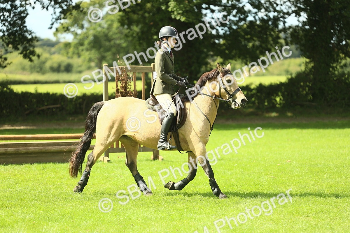 SBM_42846 - S30 - M&M Working hunter Pony