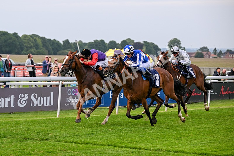 160626-Race 2-Lorcas Waltz-3841 - Race 2 19.00pm Connexin Ultrafast Maiden Stakes