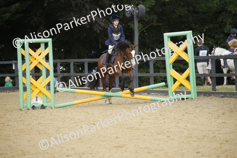 20250622-3626 - 50cm