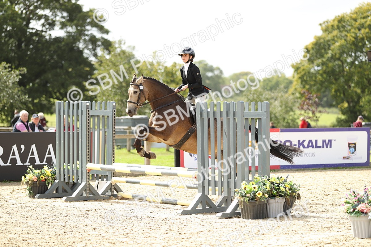 SBM_06395 - J29 - Senior Horse & Pony 65cm Championship