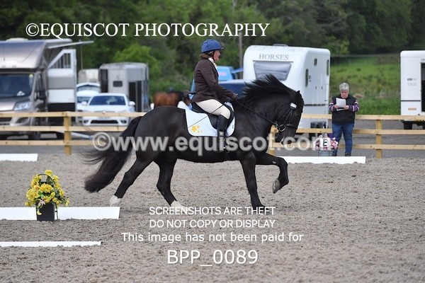 BPP_0089 - SHORT ARENA  MY QUEST PRELIM