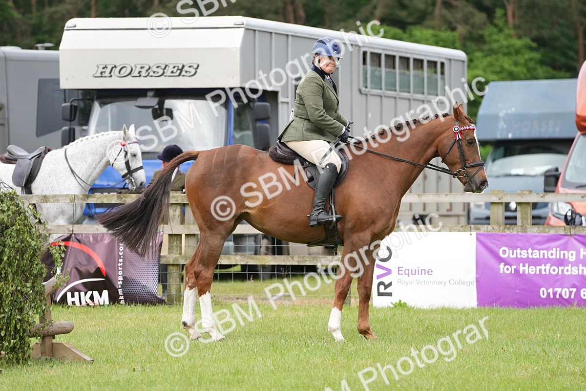 SBM_10615 - Class 97-98 - LIHS BSHA Rising Star Working Show Horse Hunter