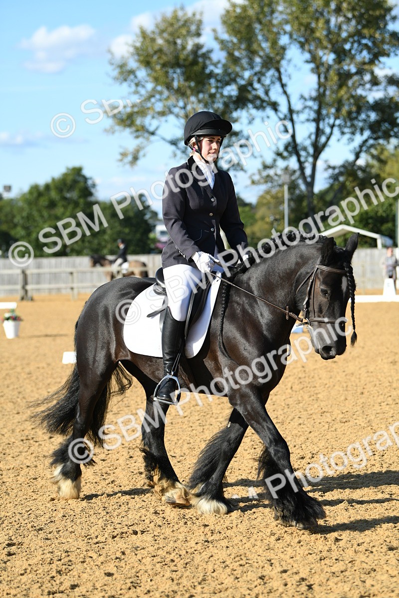 SBM_28473 - D16 - Small Tour Championship - Novice 28