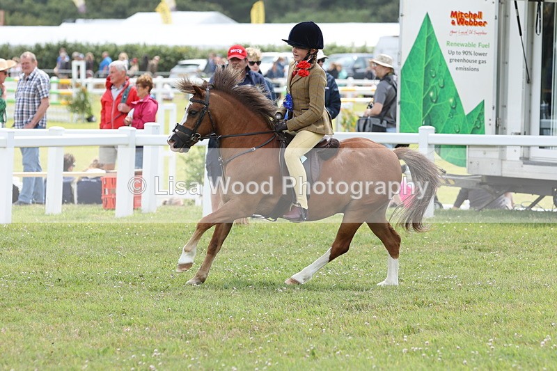 JPP_2007 - Class 18: Tiny Tots Working Hunter Pony