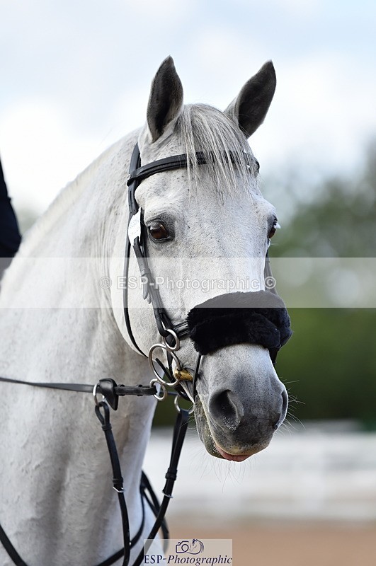 231014A-145456-05385 - Cls 15 1.05m Amateur Q 2nd R