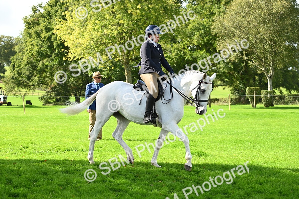 SBM_01494 - S2 - TSR Ridden Horse Showing