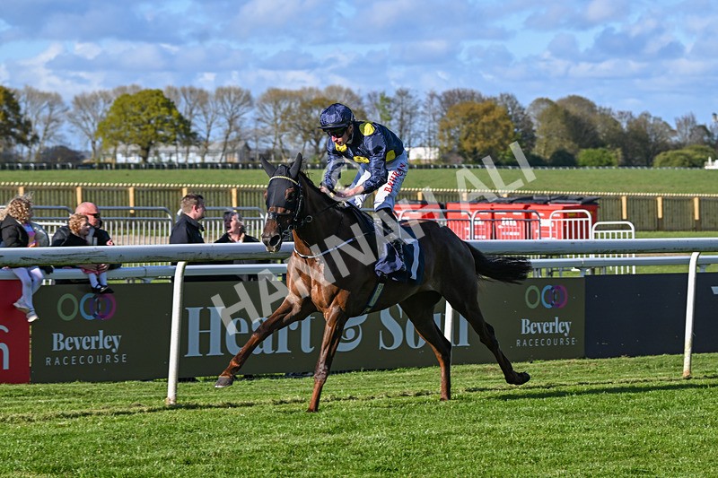 250424-Race 7-Little Rose-2026 - Race 7