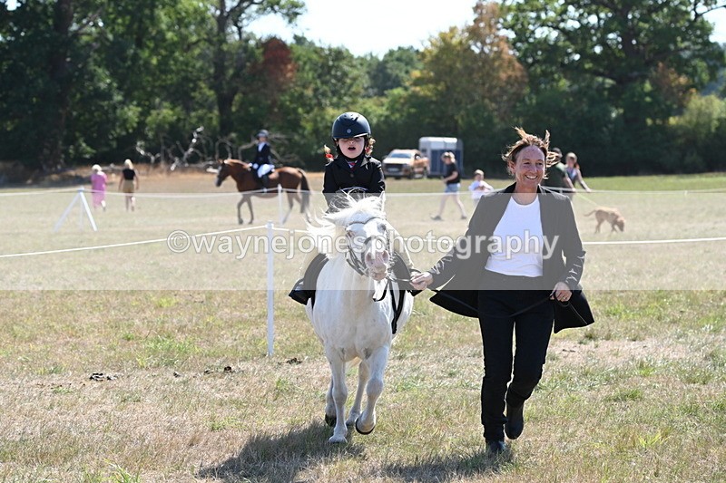 WJ6_7888 - Class 36 Lead Rein