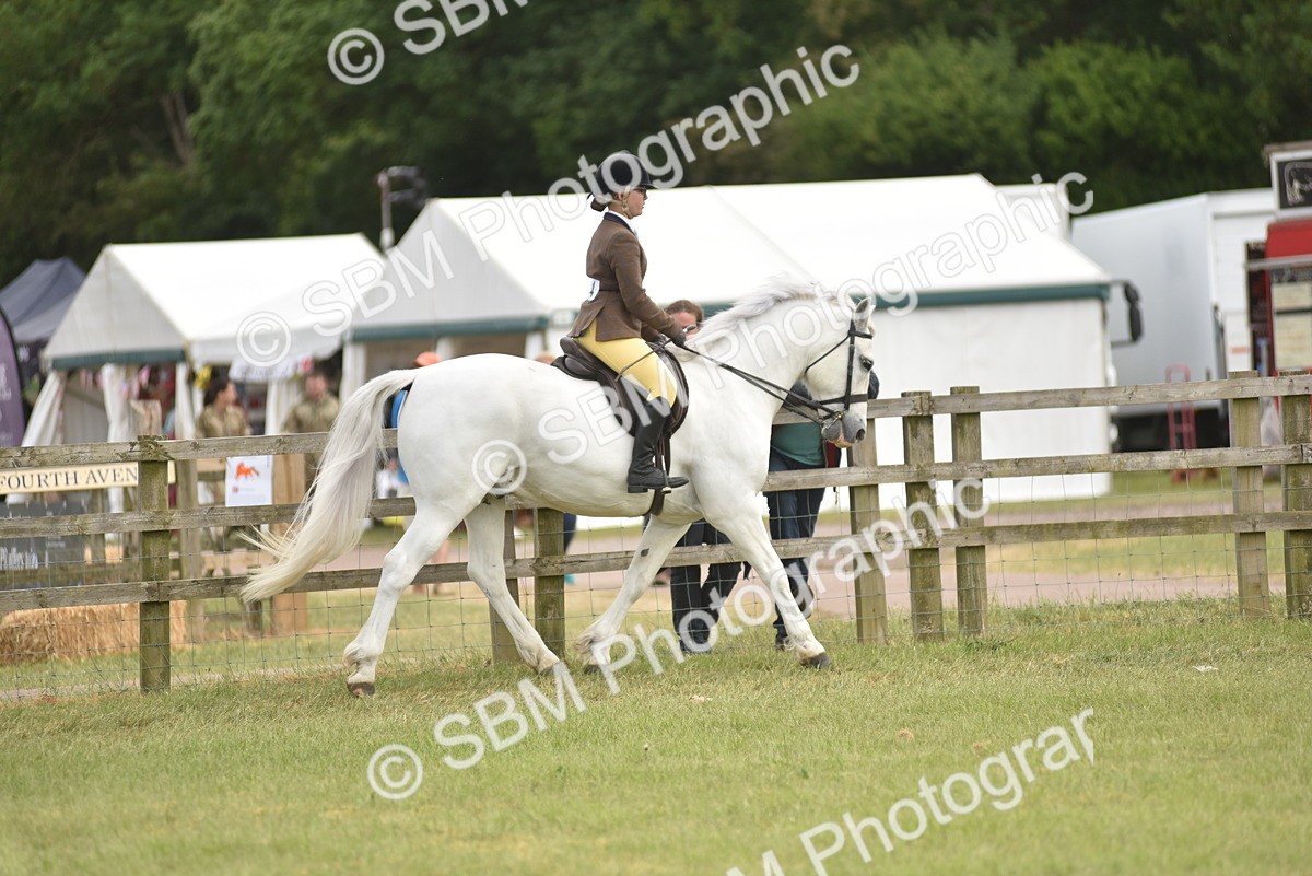 SBM_17731 - Class 122-123 - LIHS BHSA Raising Star Style and Performance Series
