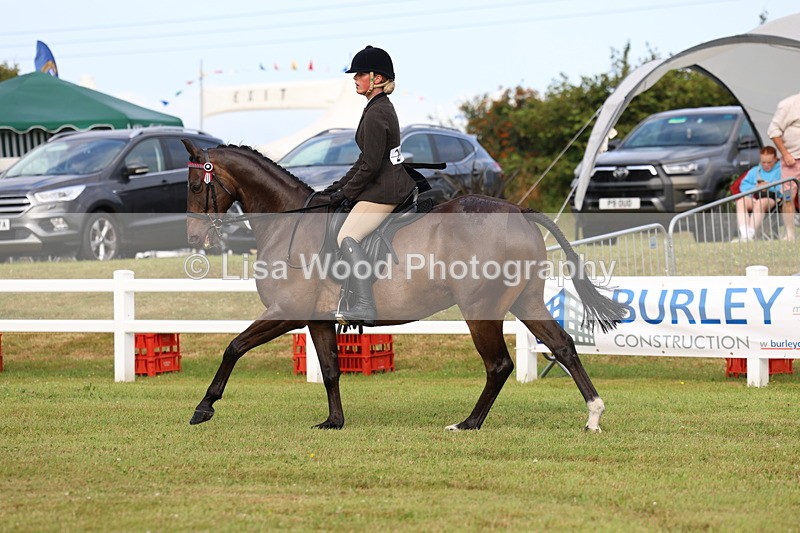 3E7A8078 - Class 2: Rising Star Large Hack/Riding Horse