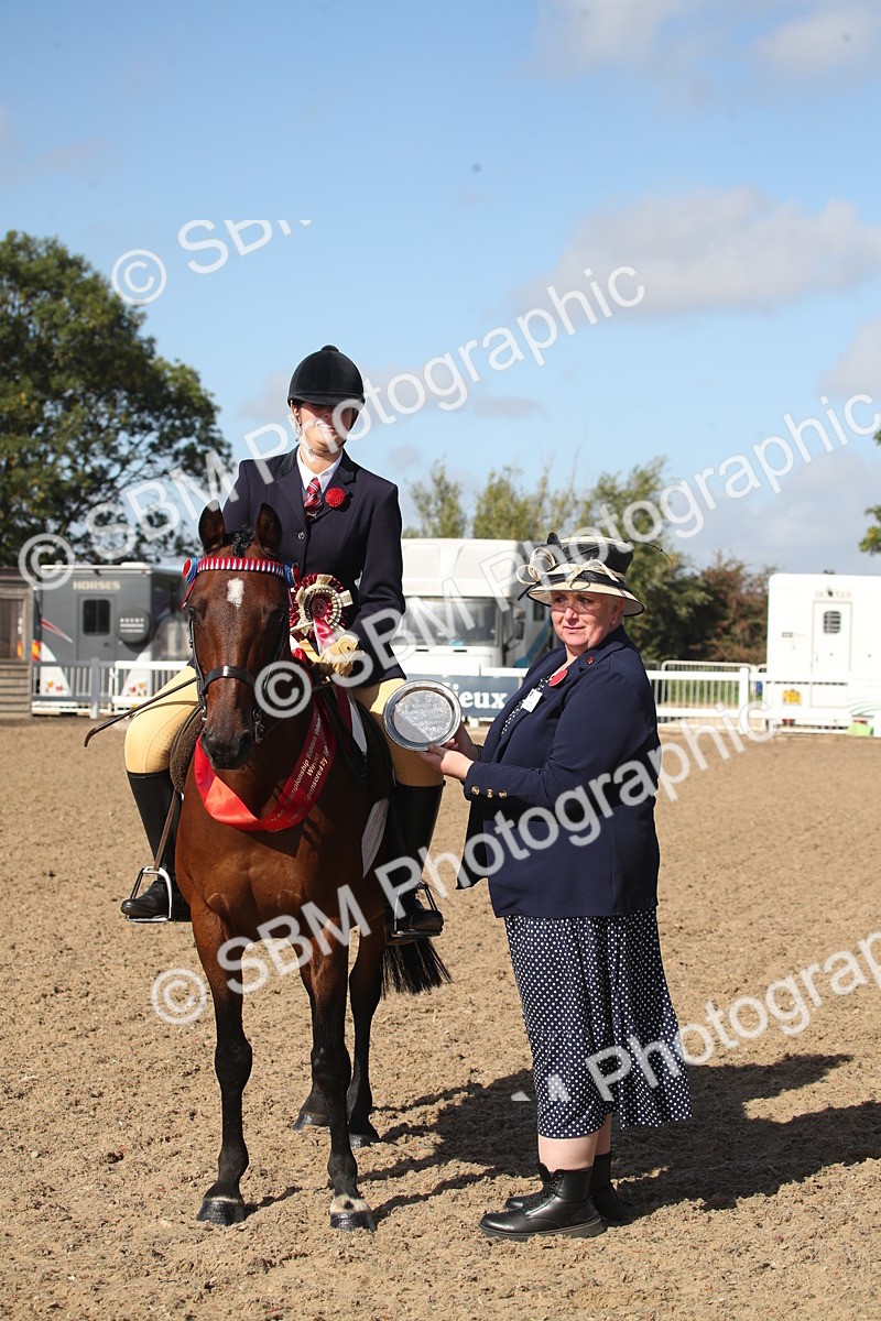 SBM_22846 - Class 602 - 2026 Area - Ridden Veteran