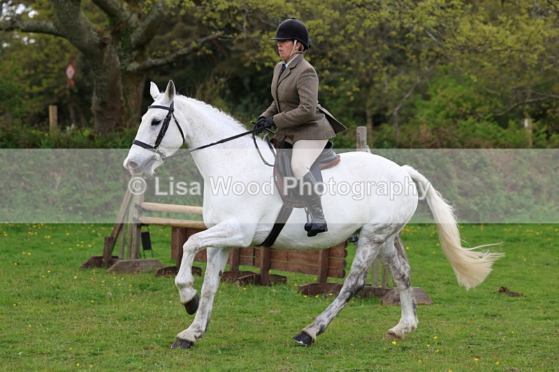 3E7A2592 - Classes 30 and 31: 80cm Working Hunter