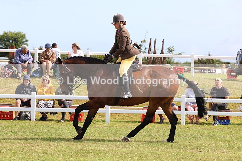 3E7A9356 - Class 4: Rising Star M/H Hunter